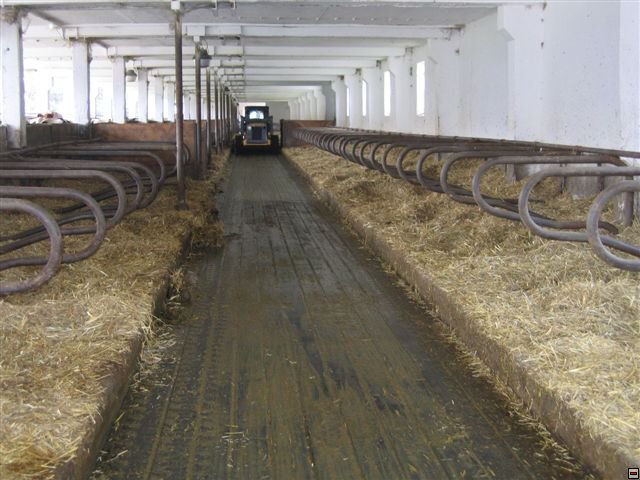Troubelice 2006 014.jpg